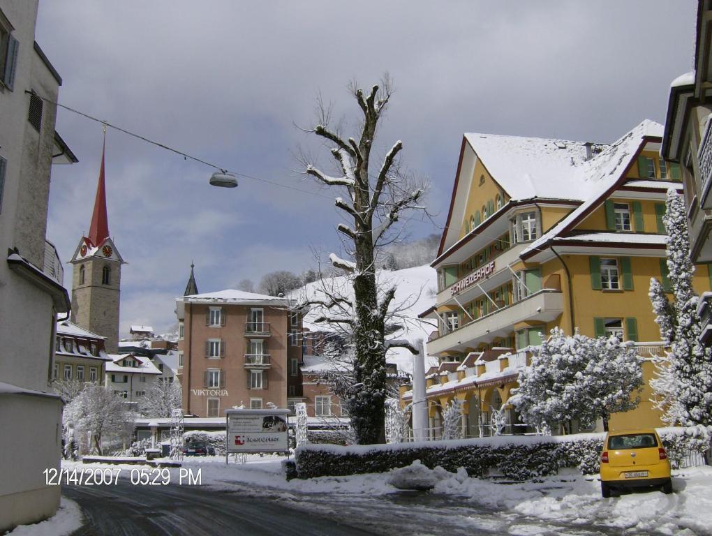 Hotel Schweizerhof Weggis Exteriér fotografie