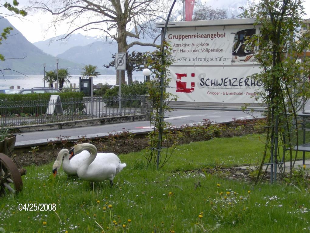 Hotel Schweizerhof Weggis Exteriér fotografie